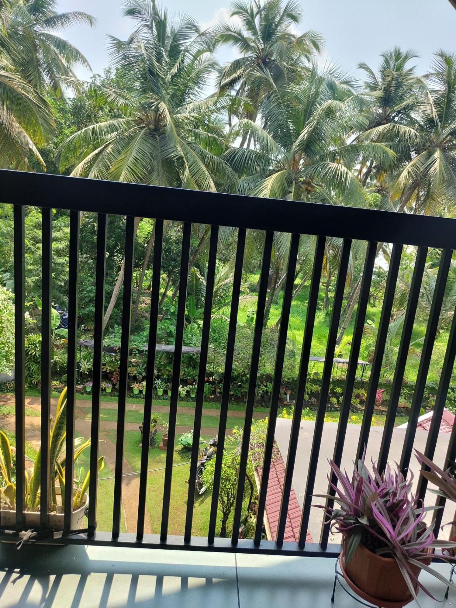 Maleyam Homestay Riverside Kozhikode Exterior photo